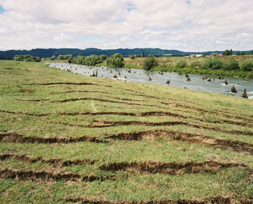 Rifts and tree stumps, Rangitaiki caused by Edgecumbe Earthquake 2 March 1987. Photo by Lloyd Homer/GNS Science