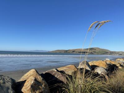 A beach with dark sand, islands in the background and a blue sky.