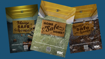 Examples of the The Home Safe Home? campaign material