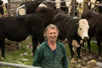 A farmer standing in front of a herd of cows.