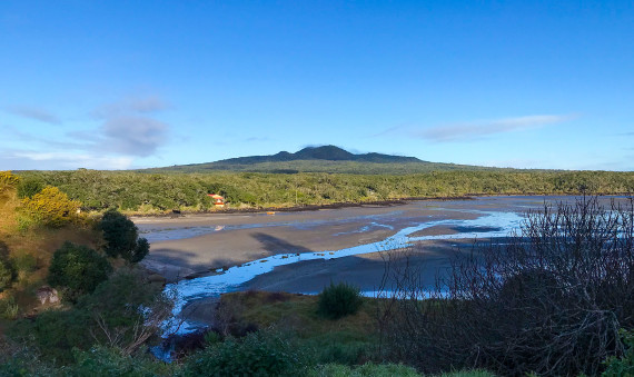 rangitoto at morning Fian small
