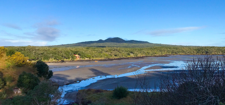 rangitoto at morning Fian small