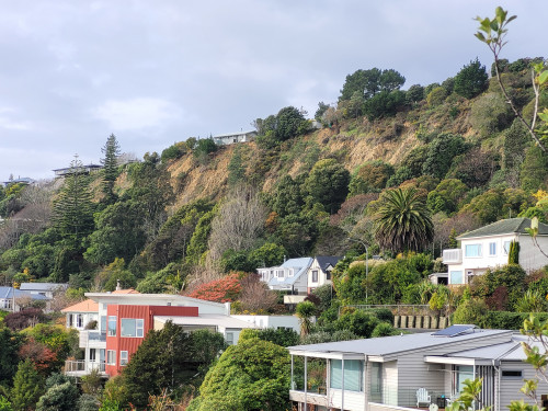 Tahanui landslide in Nelson