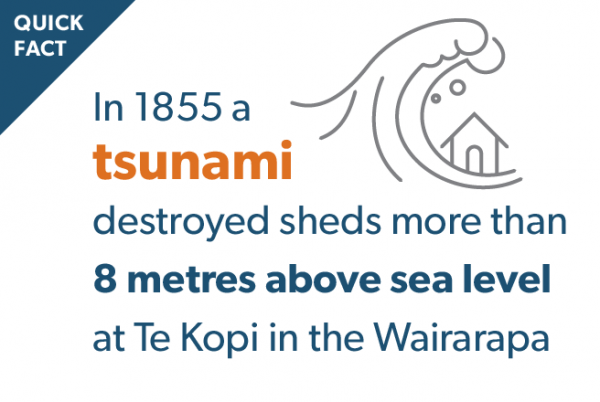 Quick Fact: in 1855 a tsunami destroyed sheds more than 8 metres above sea level at Te Kopi in the Wairarapa