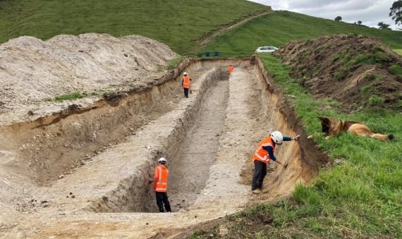 Taupō supervolcano trenching